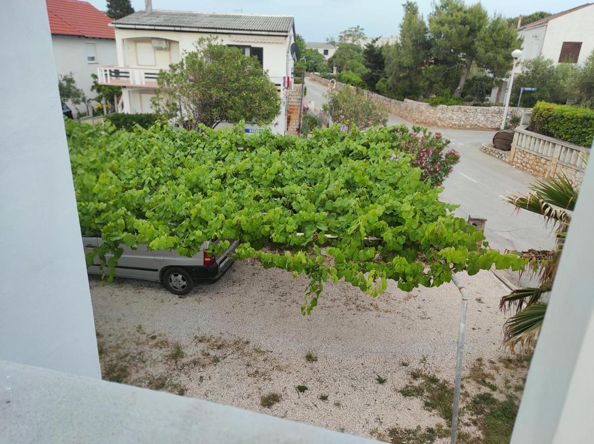 Apartment Marina Vir